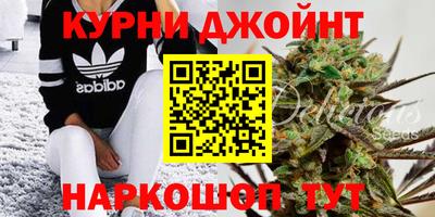 стаф Бузулук
