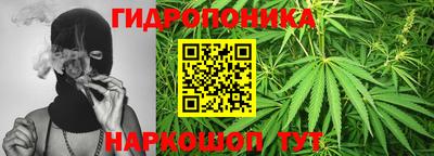 стаф Бузулук