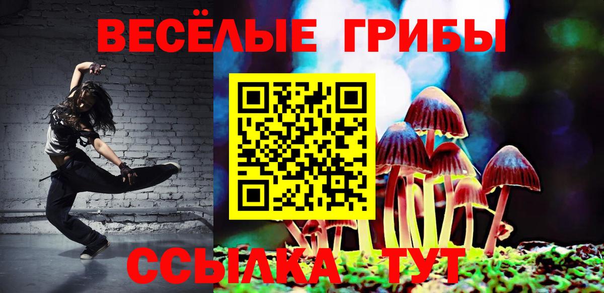 Галлюциногенные грибы GOLDEN TEACHER  Вход с VPN  Луховицы 