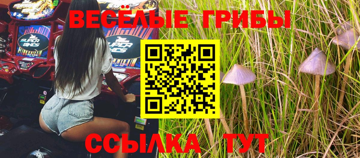 Псилоцибиновые грибы мицелий Луховицы